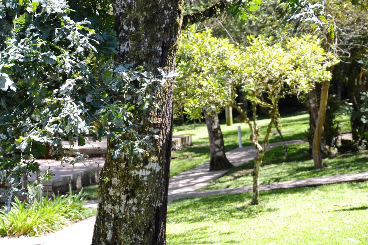 Hotel Pousada Dos Pinheiros Canela Εξωτερικό φωτογραφία